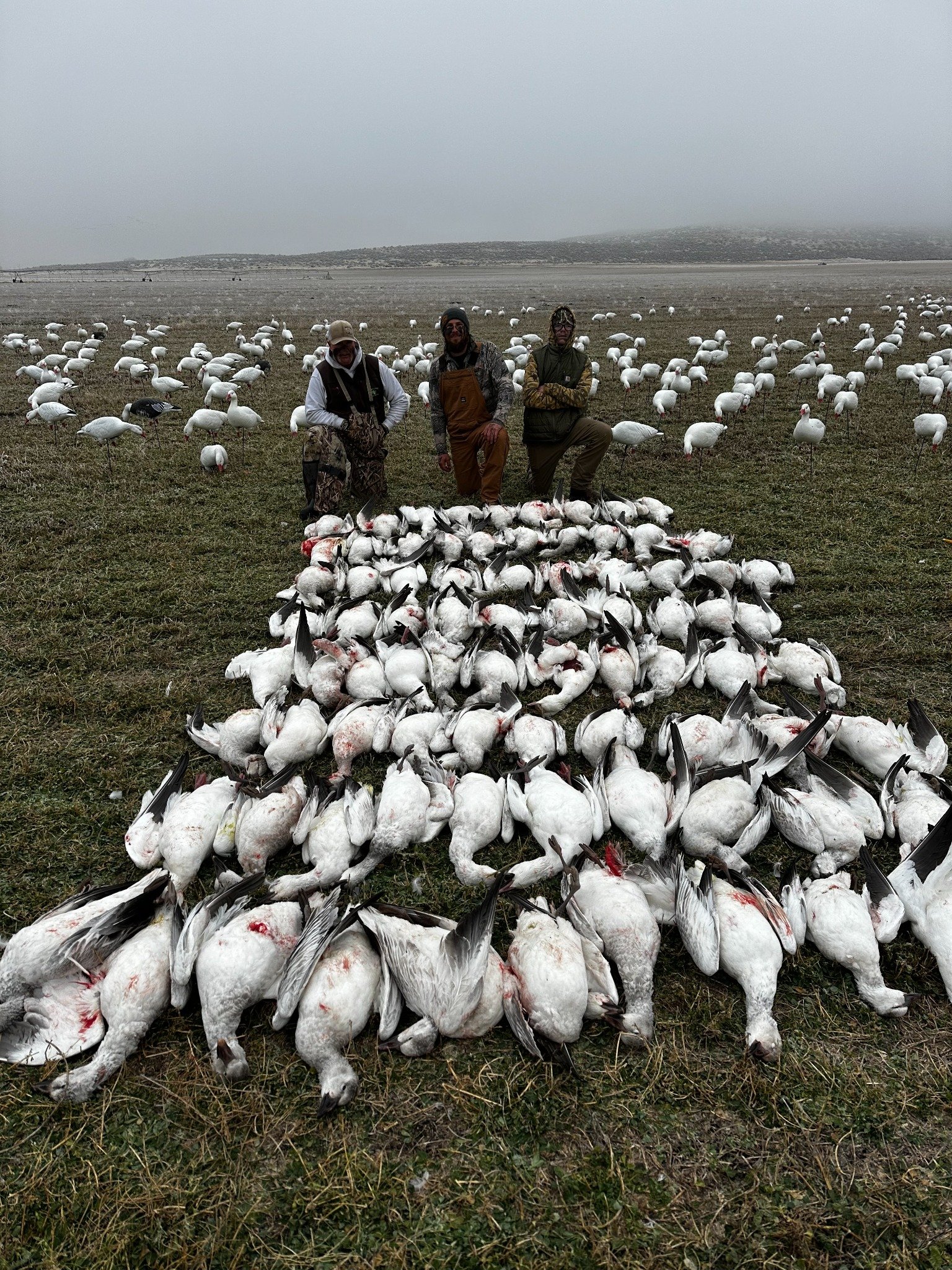 North East Zone waterfowl hunt