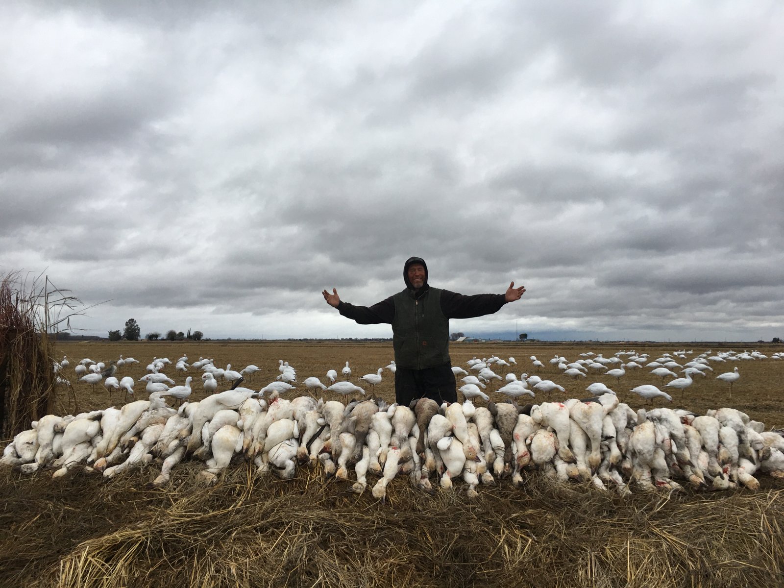 Sutter Basin waterfowl hunt