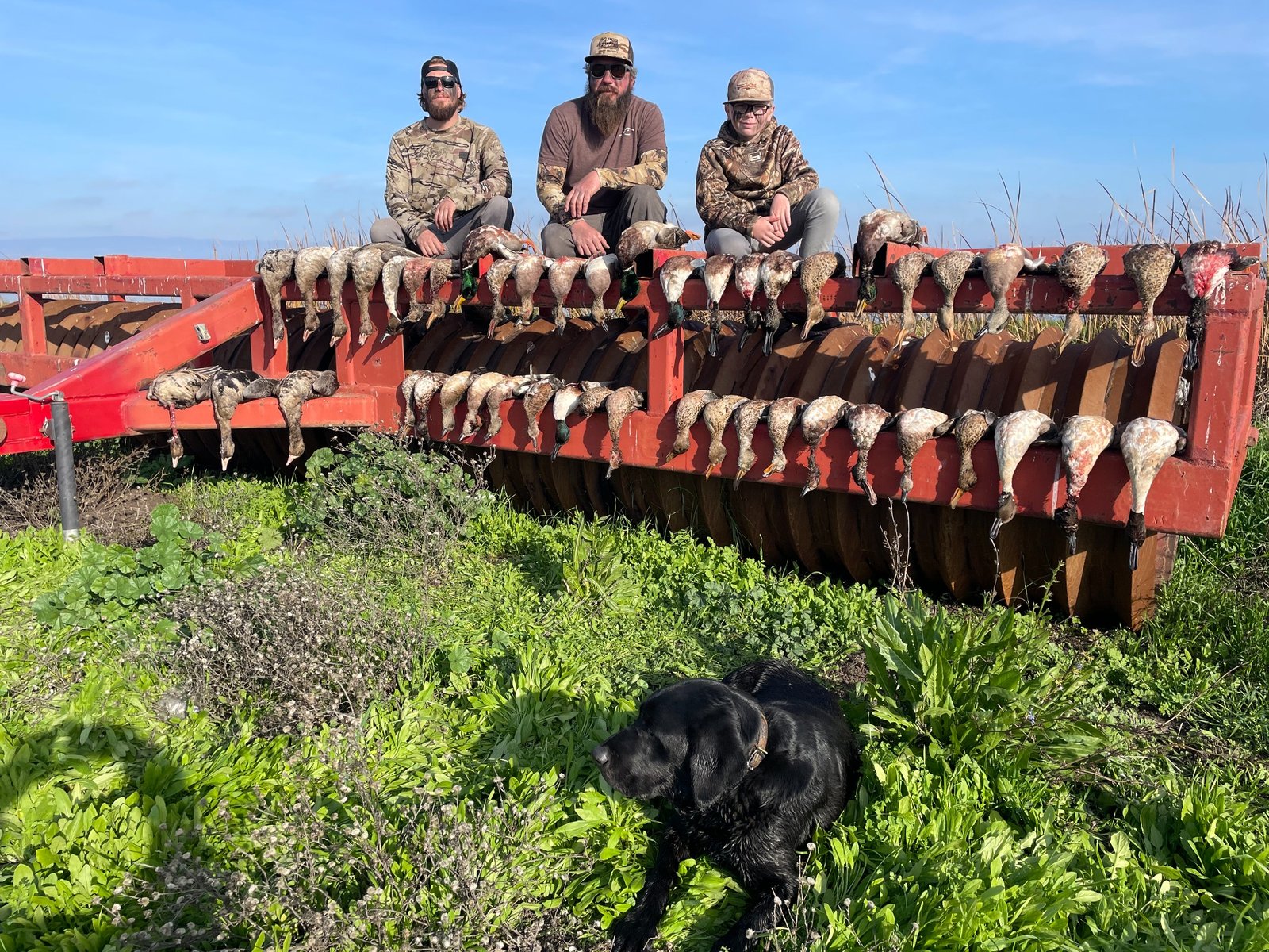 Sutter Basin waterfowl hunt