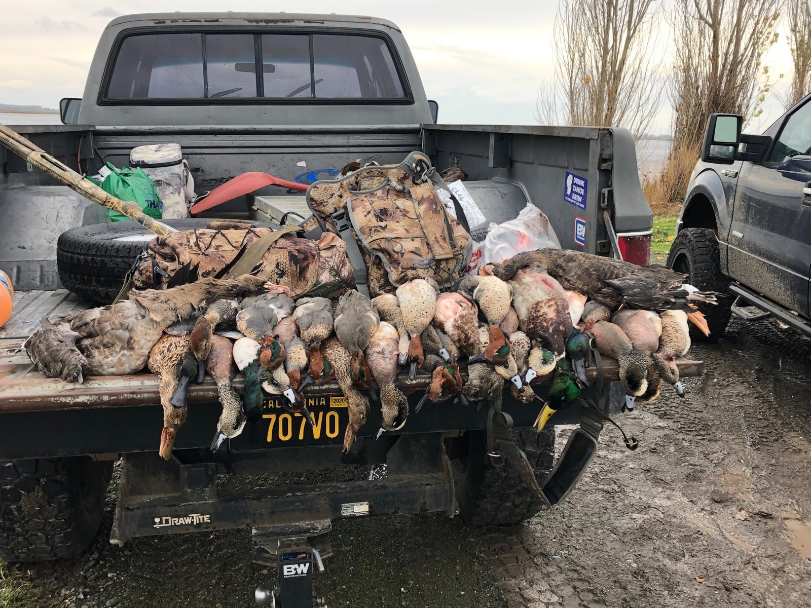 Duck and goose combo hunt