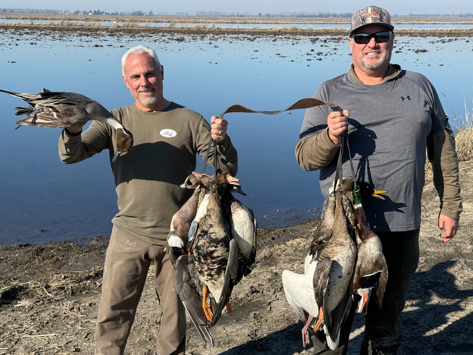 Sutter Basin waterfowl hunt