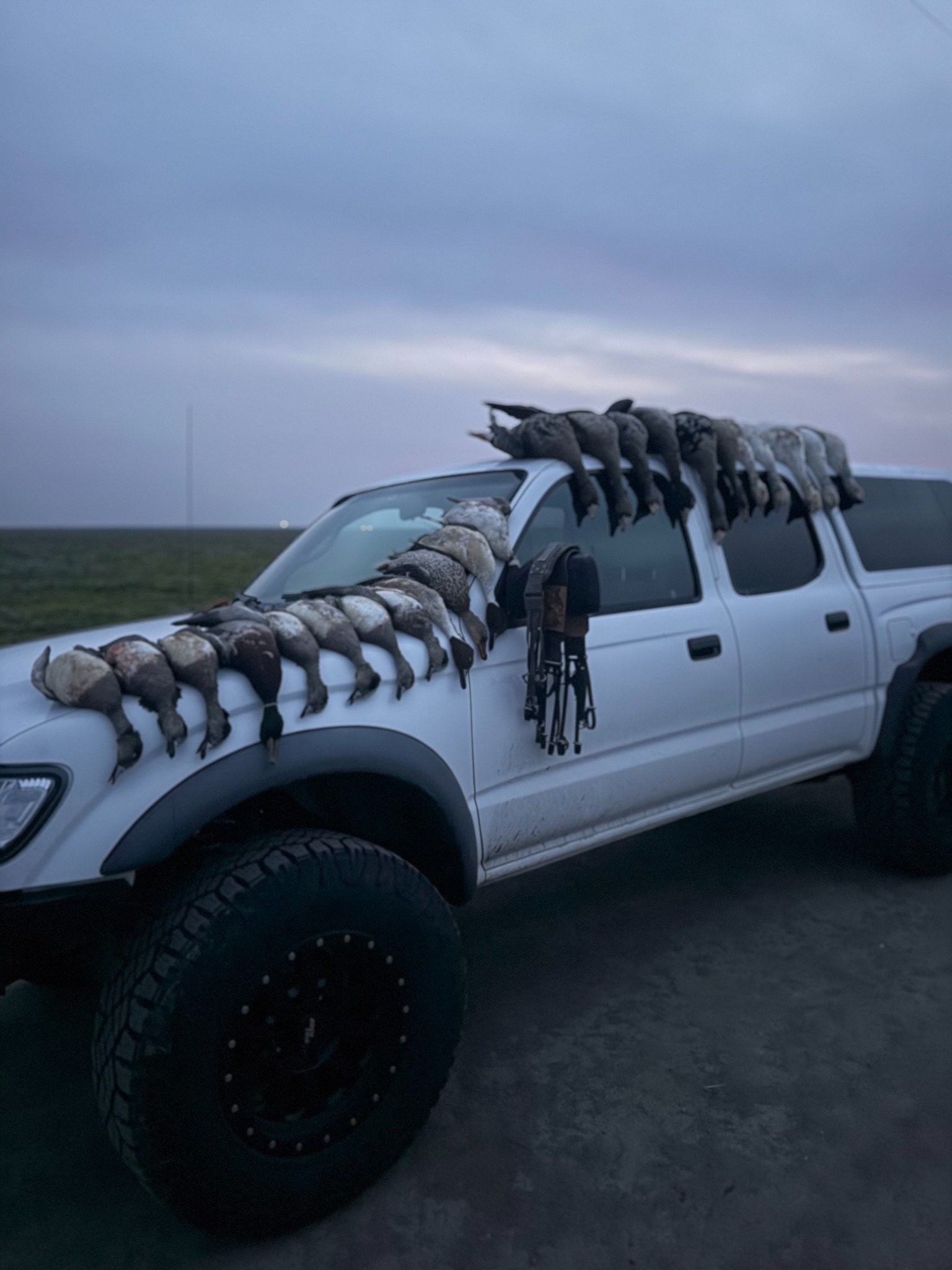 Sutter Basin waterfowl hunt
