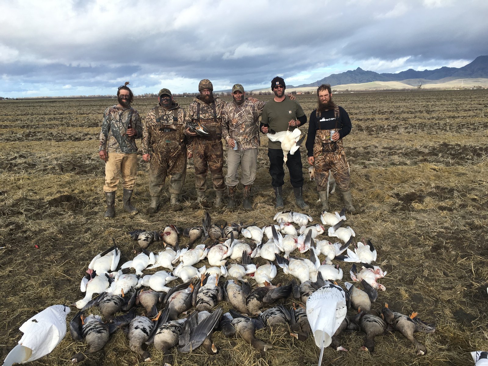 Sutter Basin waterfowl hunt
