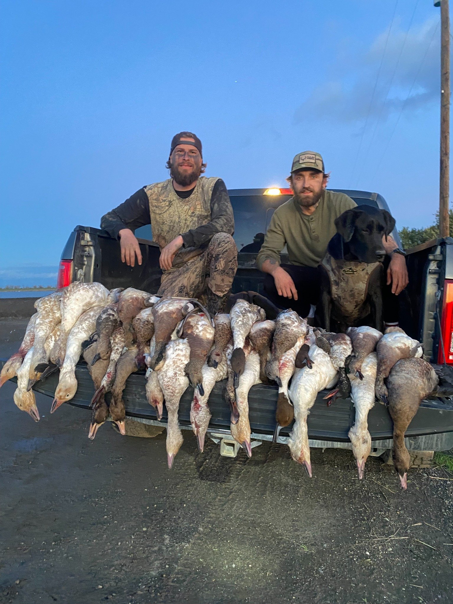 Sutter Basin waterfowl hunt